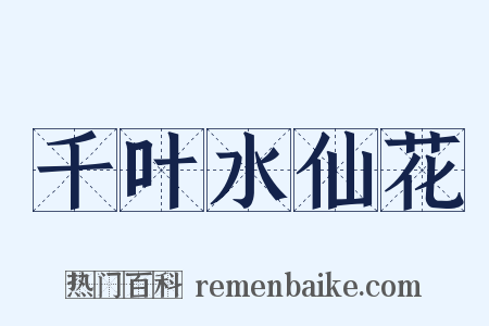 千叶水仙花是什么意思的图片